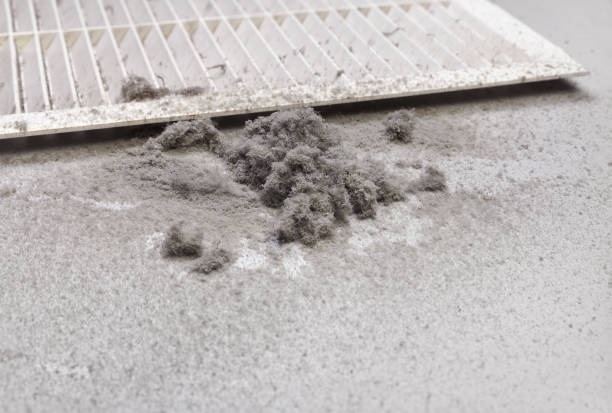 Best Air Duct Cleaning Near Me  in Seneca, MO